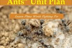 “Leiningen vs. the Ants” Lesson Plans